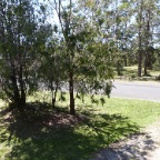 87 Boobook Waterfront Reserve across the road